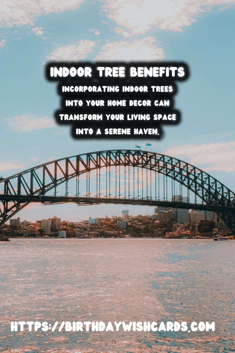 The Benefits of Indoor Trees for Home Decor