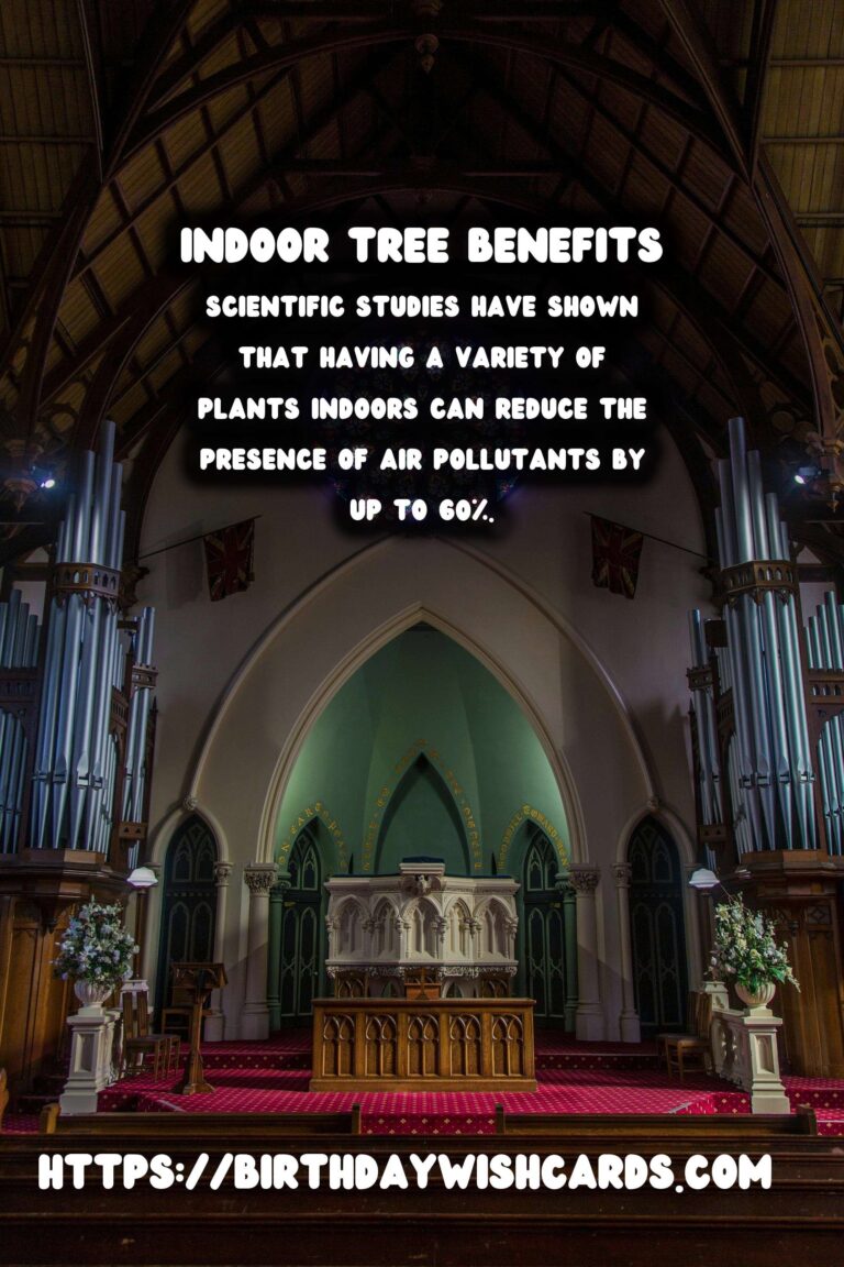 The Benefits of Indoor Trees for Home Decor