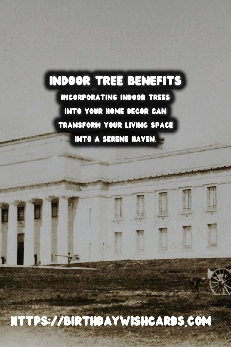 The Benefits of Indoor Trees for Home Decor