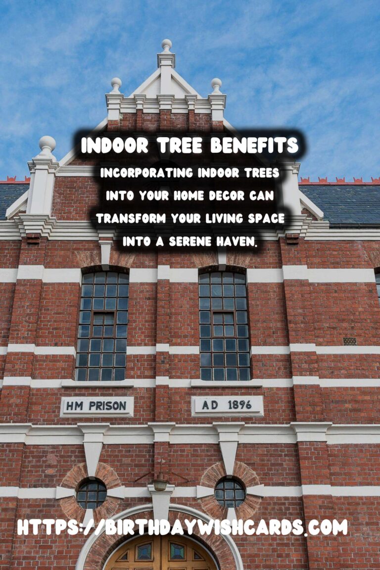 The Benefits of Indoor Trees for Home Decor