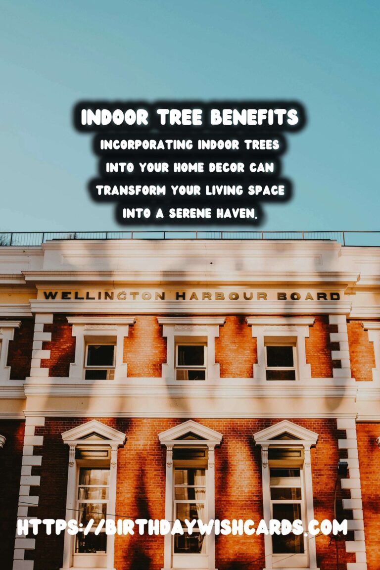 The Benefits of Indoor Trees for Home Decor