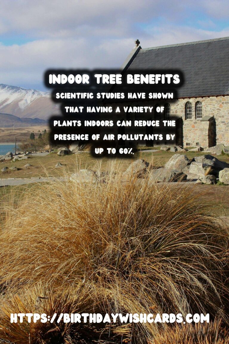 The Benefits of Indoor Trees for Home Decor