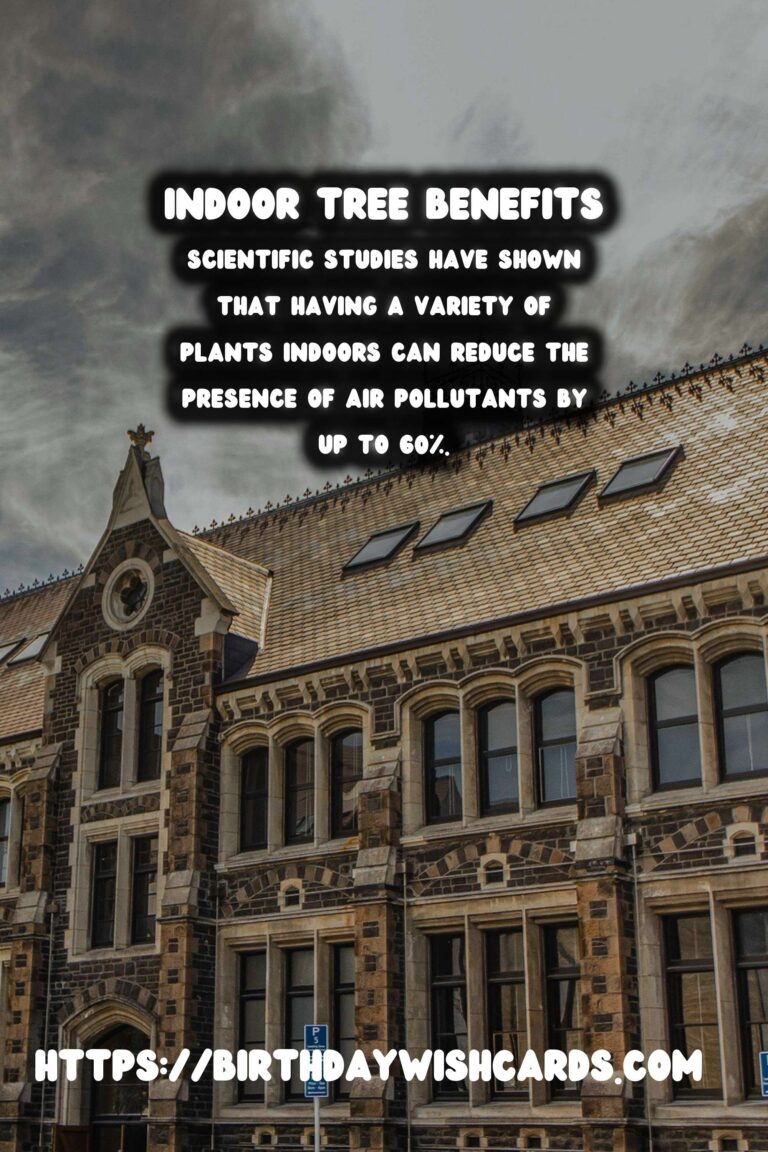 The Benefits of Indoor Trees for Home Decor