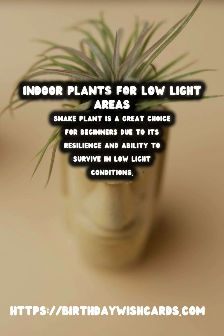 The Best Indoor Plants for Low Indirect Light Environments