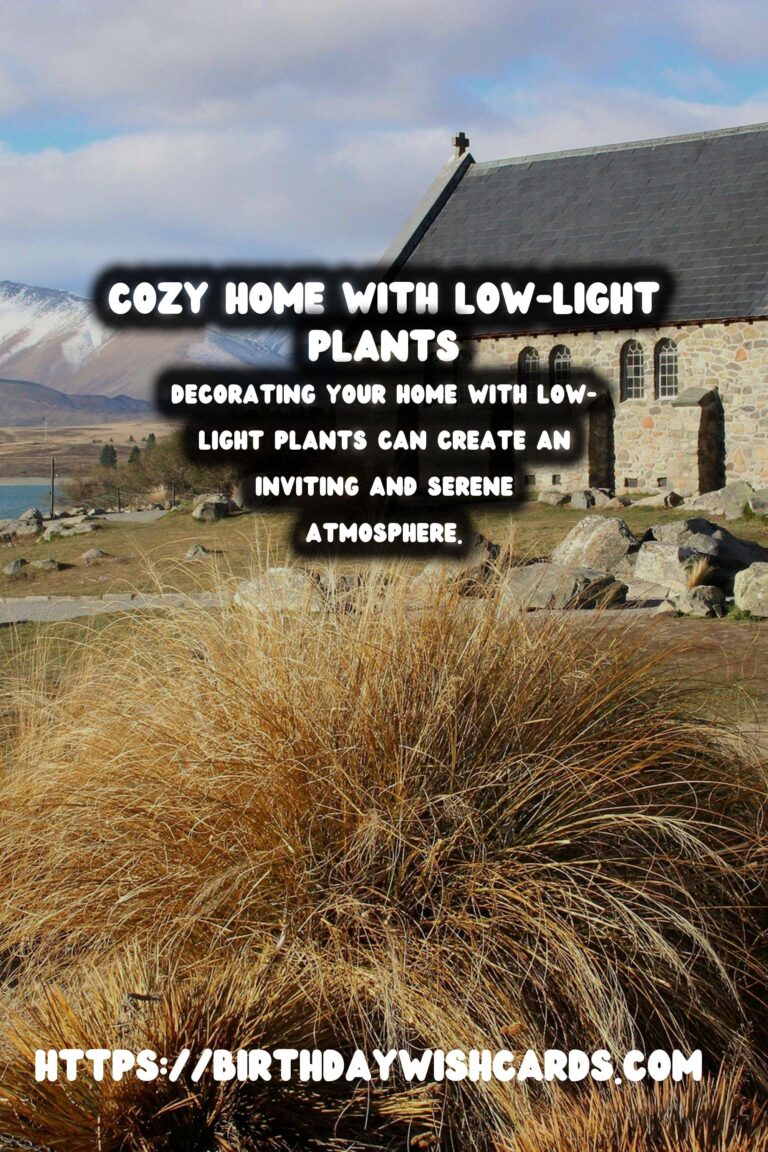 The Best Low-Light Plants for Cozy Homes