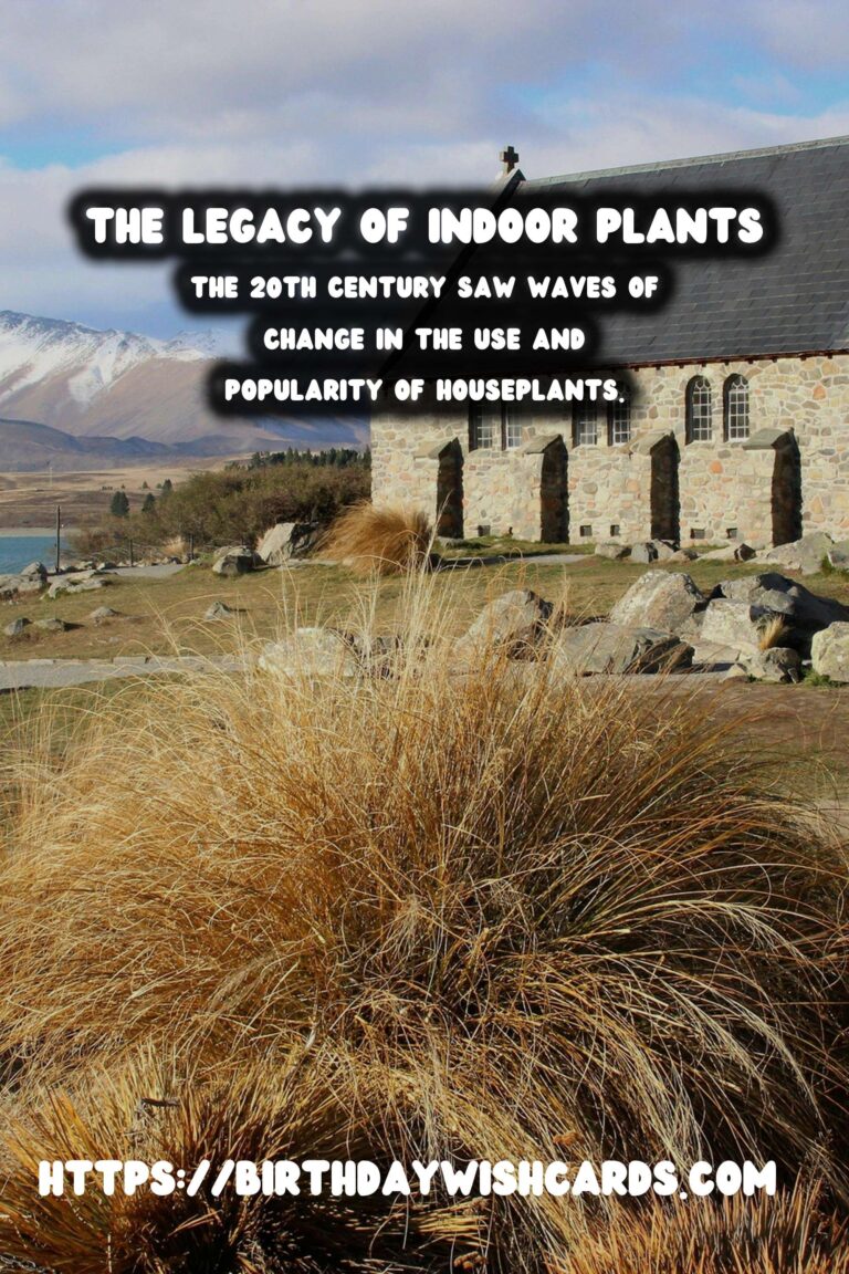 The Enchanting Journey of Houseplants Through Time: A Historic Overview