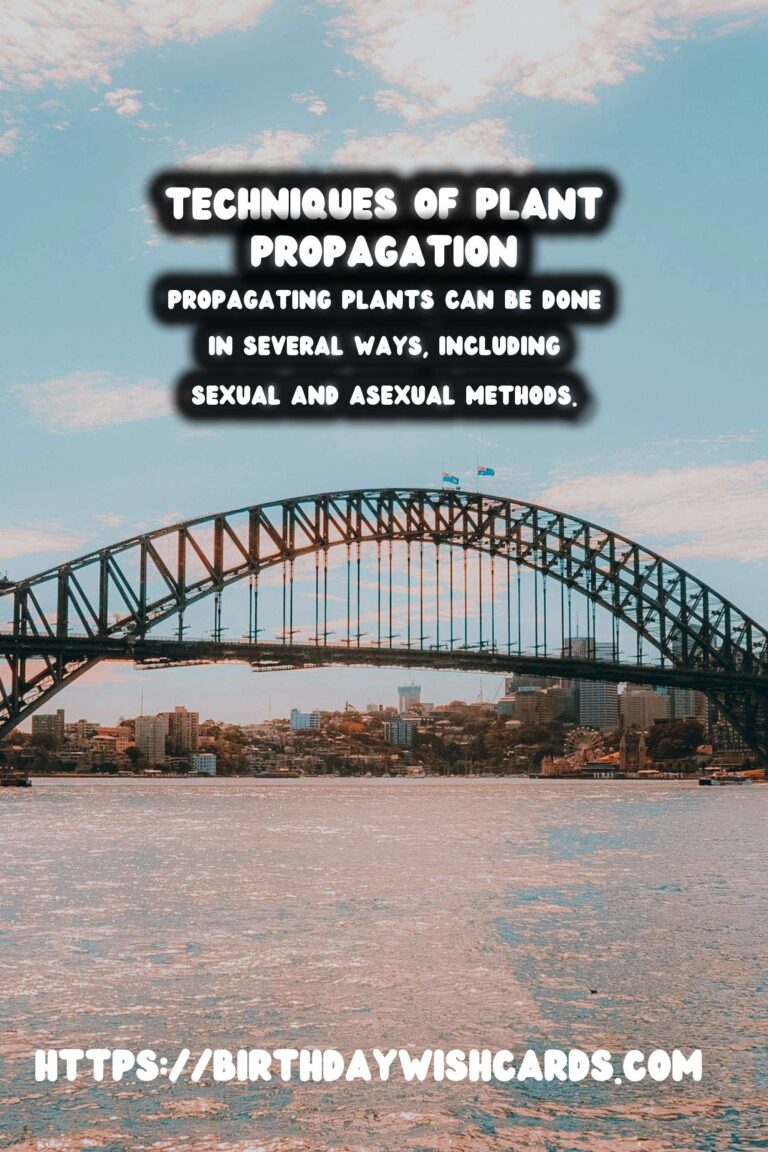 The Joy of Plant Propagation: Growing Your Collection