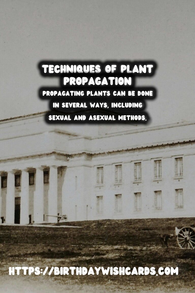 The Joy of Plant Propagation: Growing Your Collection