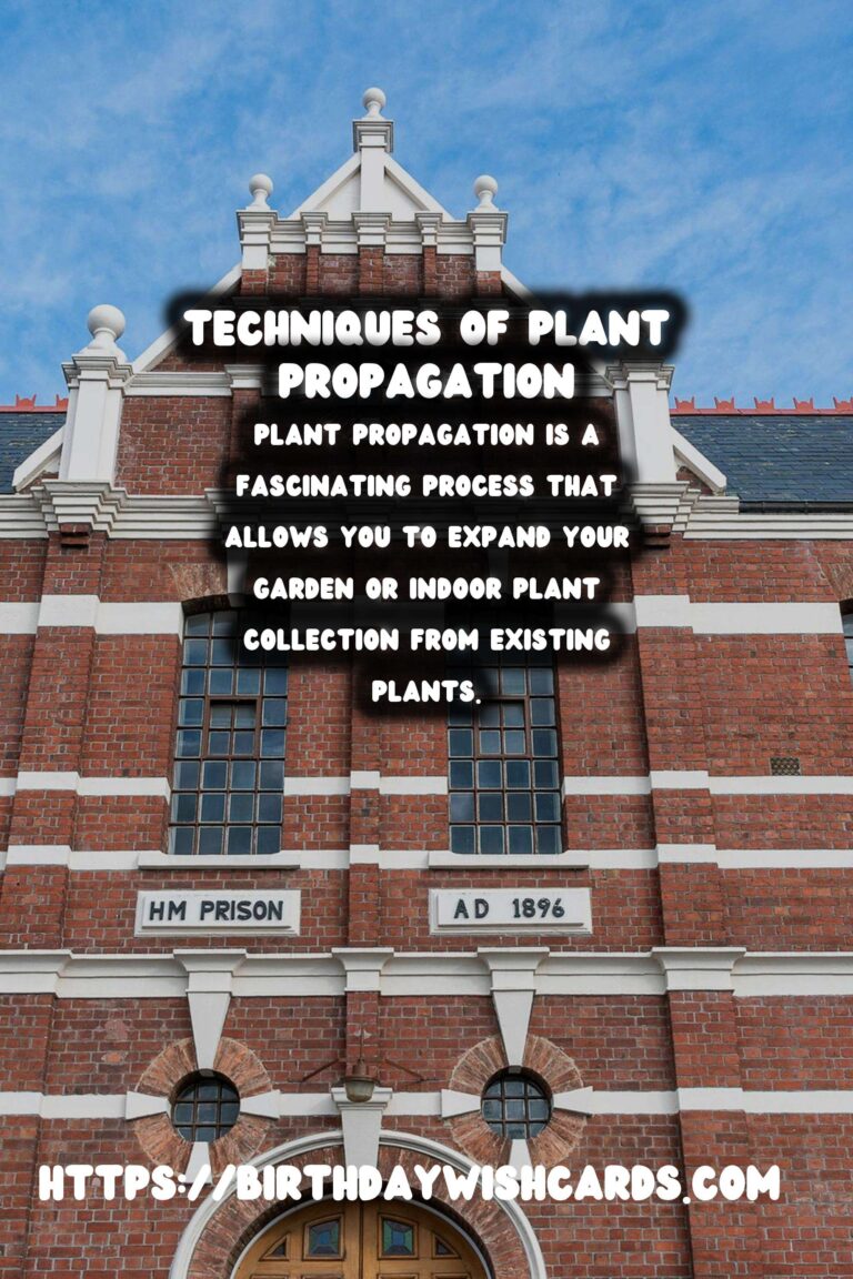 The Joy of Plant Propagation: Growing Your Collection