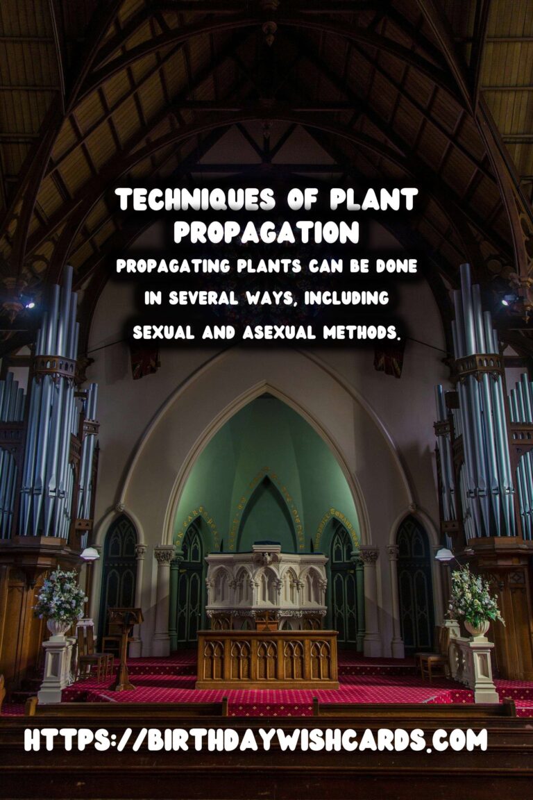 The Joy of Plant Propagation: Growing Your Collection