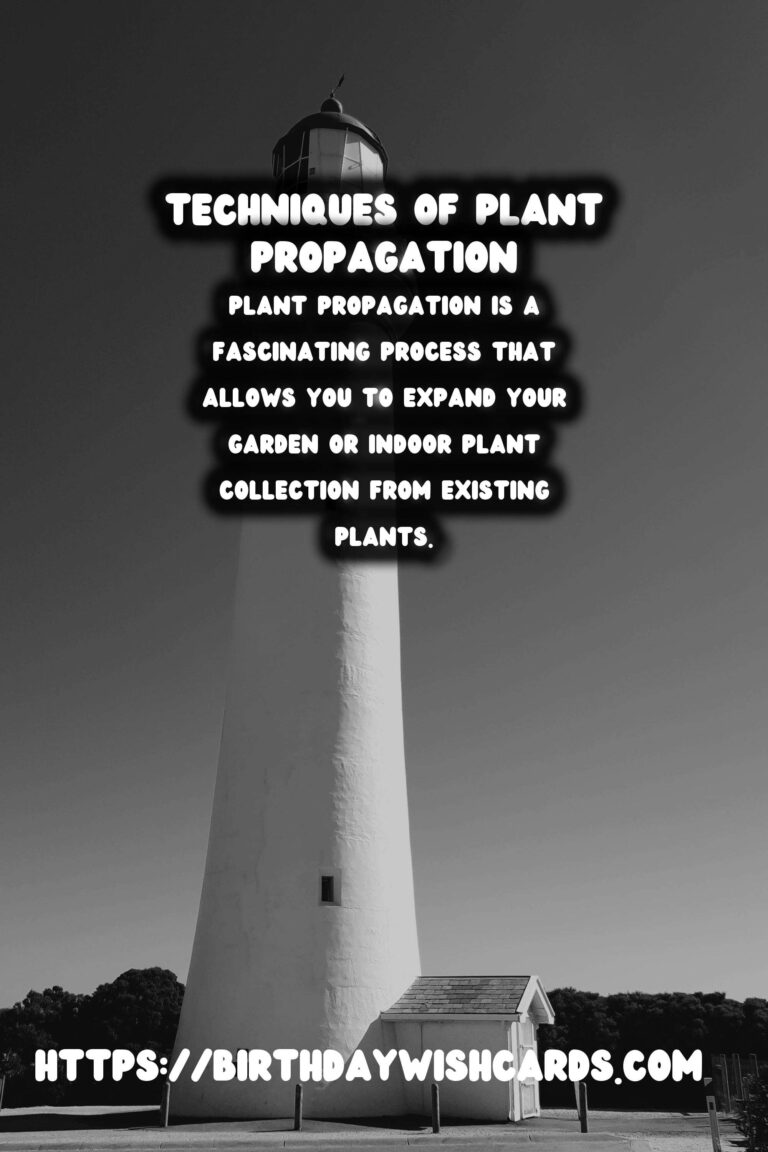 The Joy of Plant Propagation: Growing Your Collection