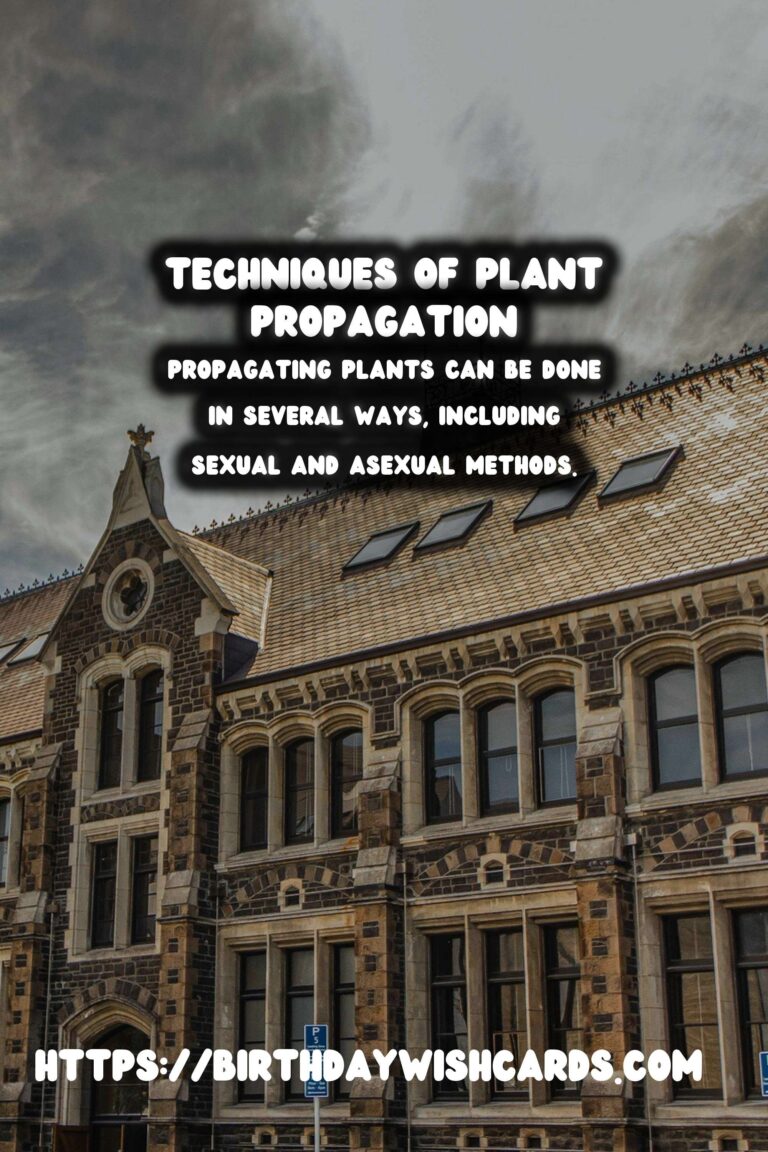 The Joy of Plant Propagation: Growing Your Collection