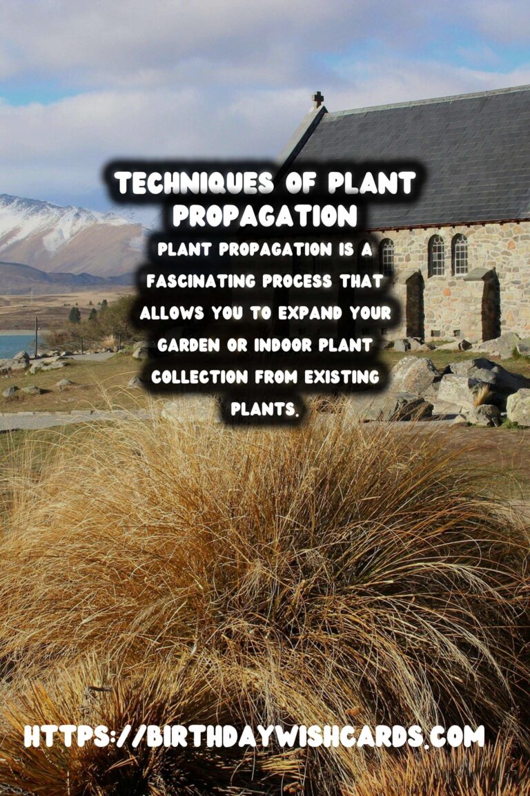 The Joy of Plant Propagation: Growing Your Collection