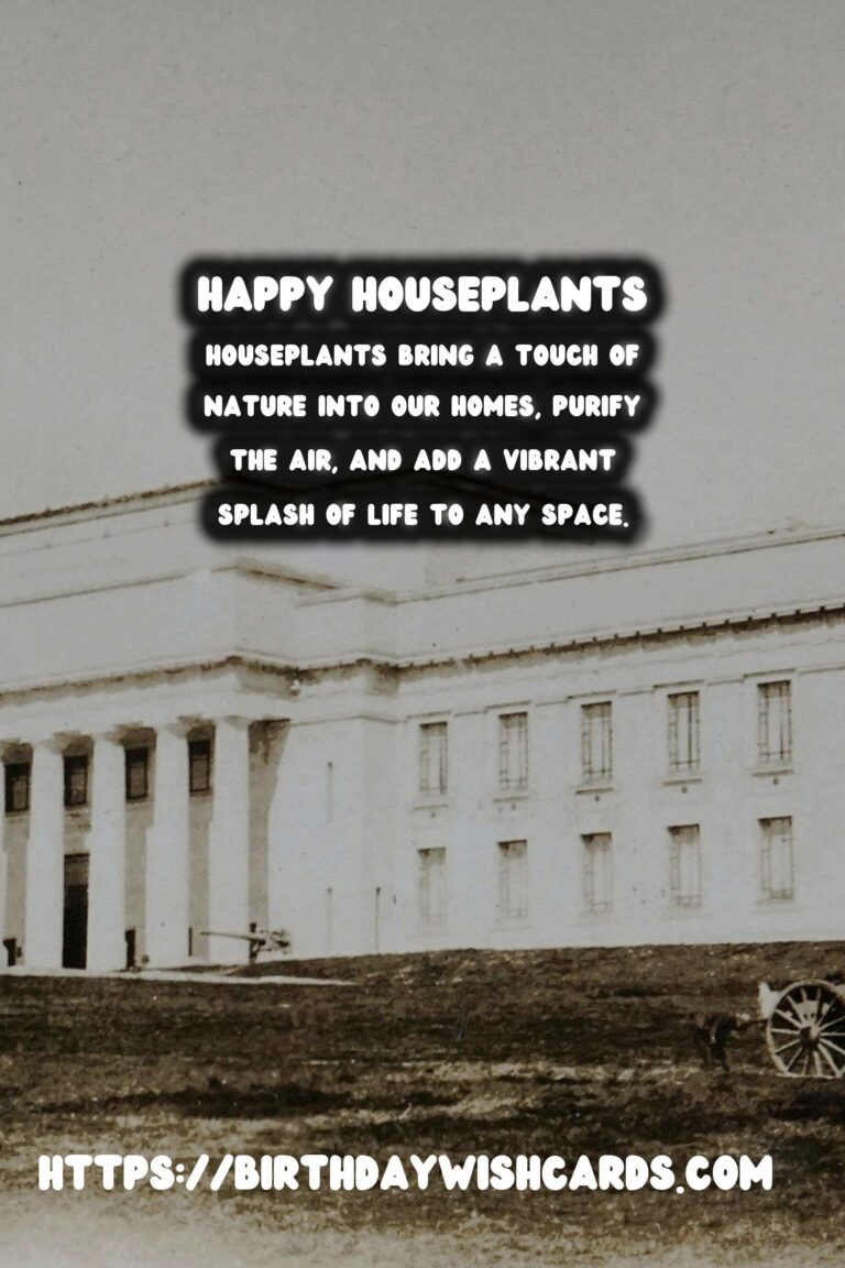 The Secret to Happy Houseplants: Consistency