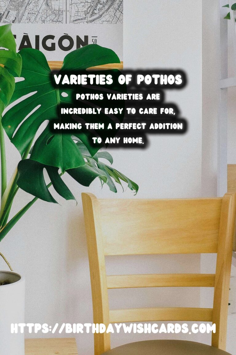 The Ultimate Easy Care Guide for Pothos Varieties