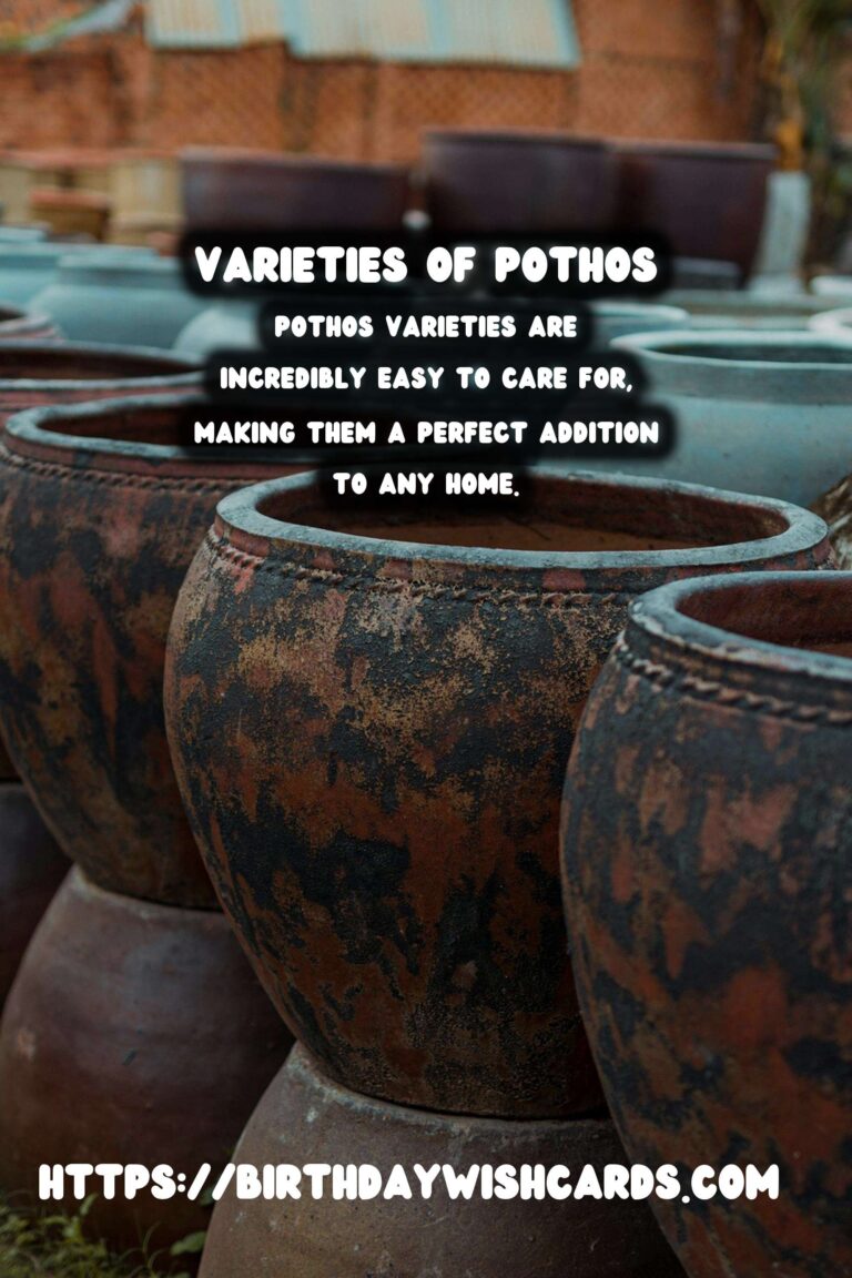 The Ultimate Easy Care Guide for Pothos Varieties