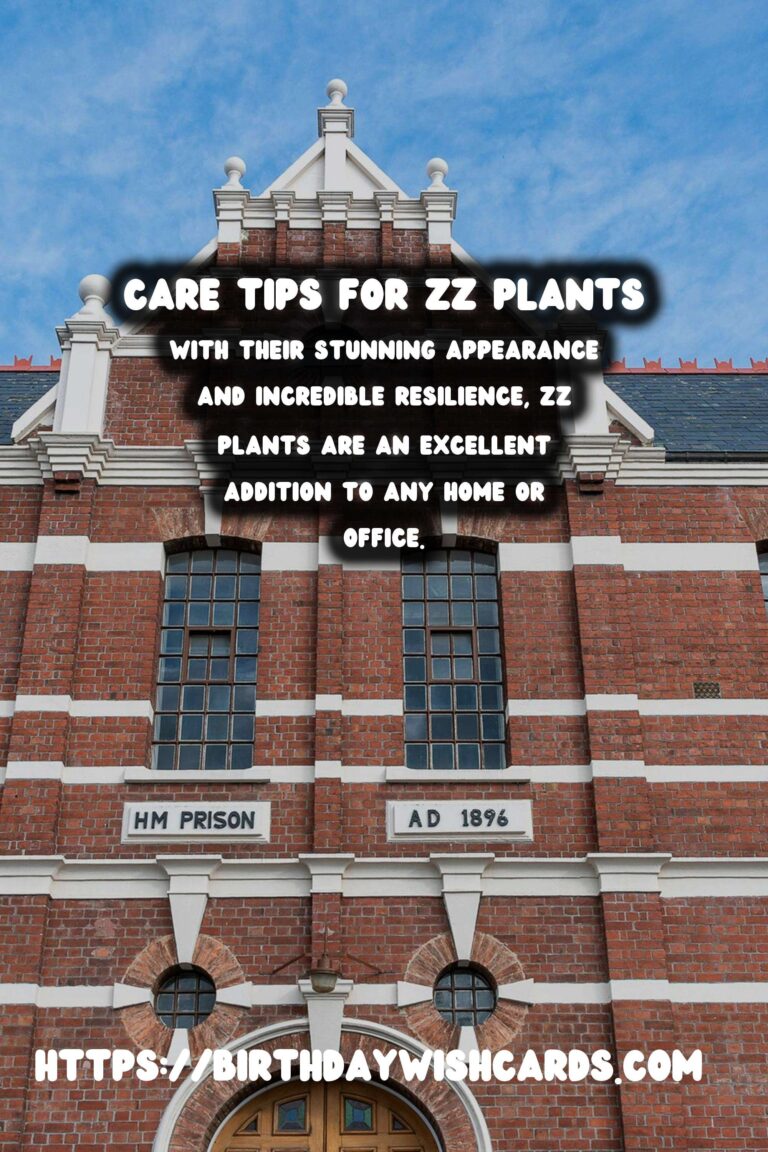 The Ultimate Guide to Caring for ZZ Plants: Drought Tolerant and Easy to Maintain