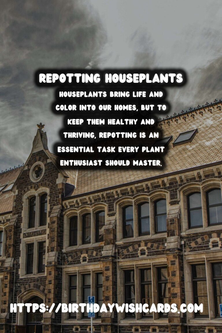 The Ultimate Guide to Repotting Houseplants: When and How