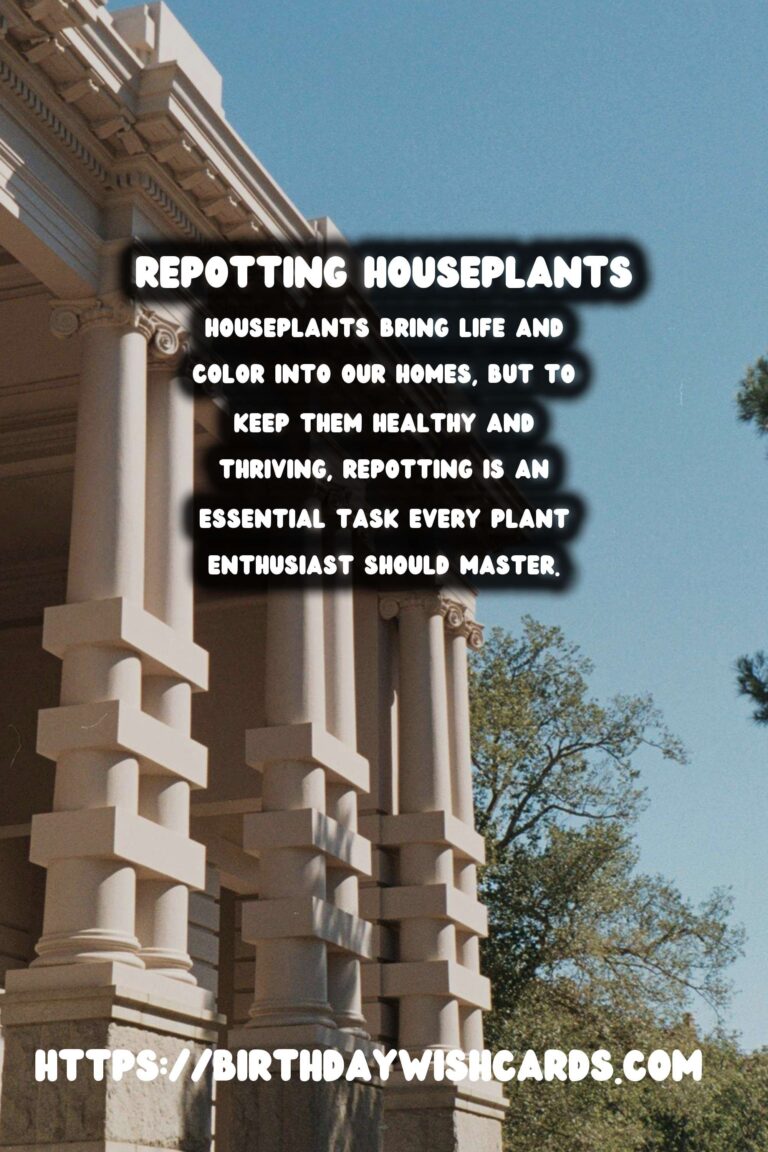 The Ultimate Guide to Repotting Houseplants: When and How