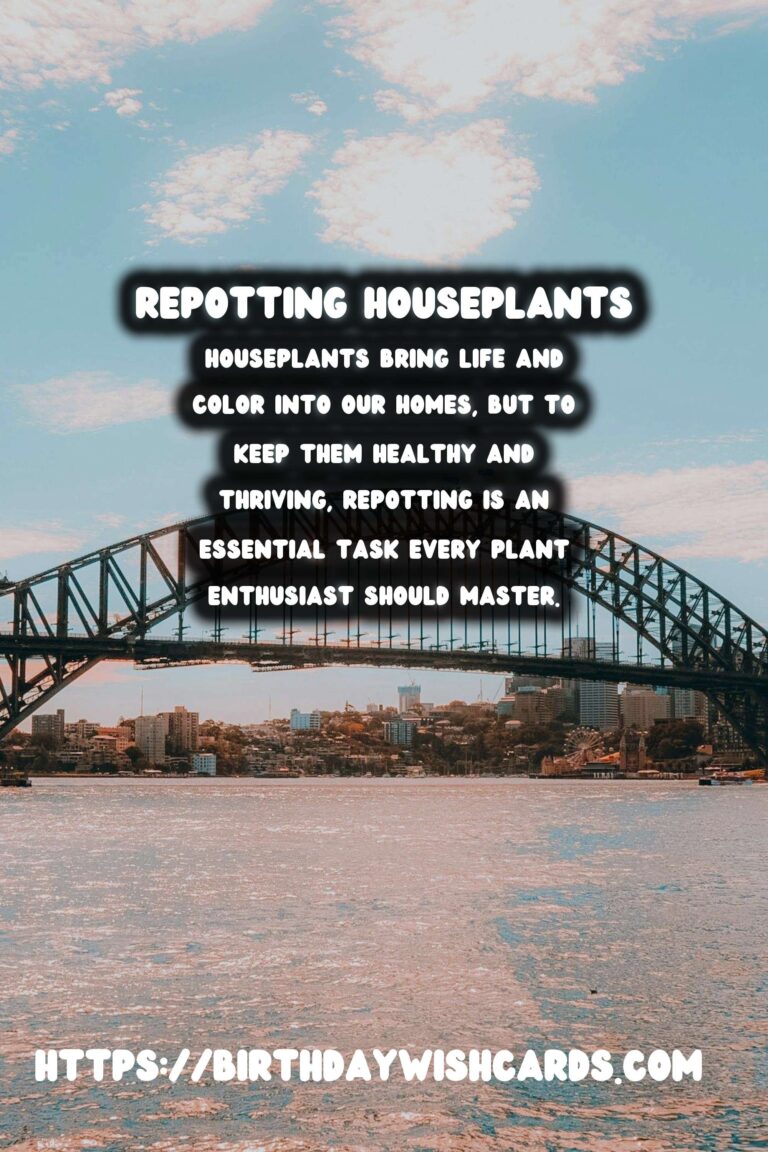 The Ultimate Guide to Repotting Houseplants: When and How