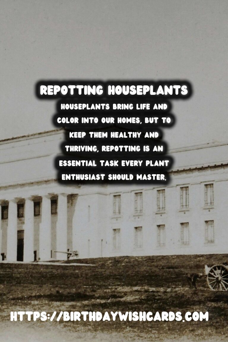 The Ultimate Guide to Repotting Houseplants: When and How