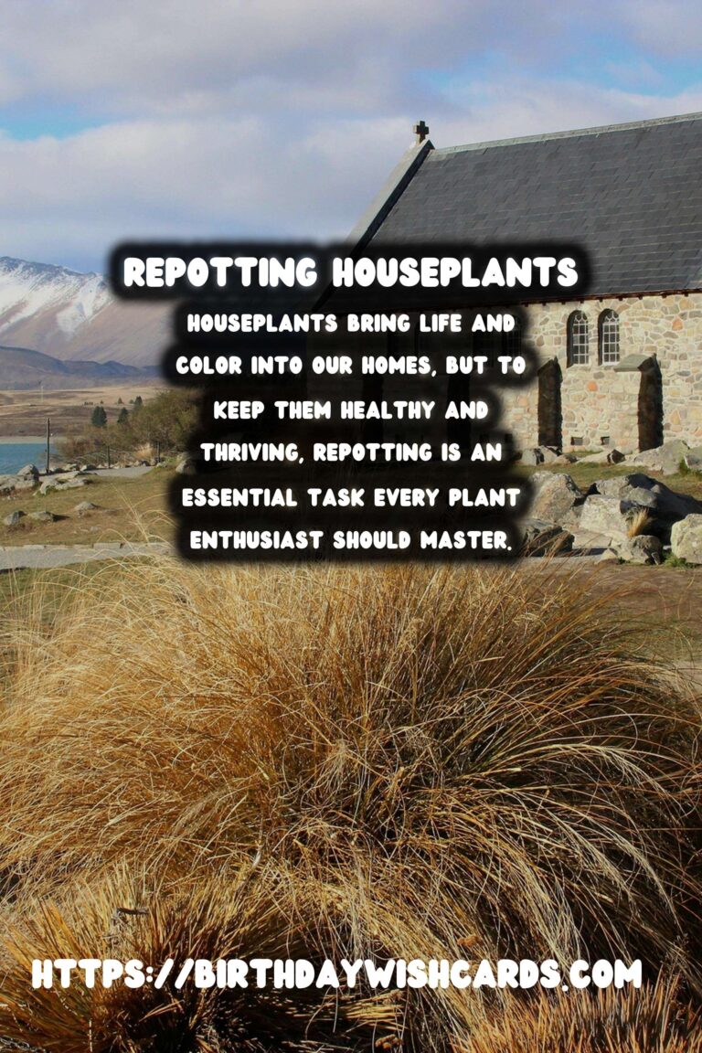 The Ultimate Guide to Repotting Houseplants: When and How