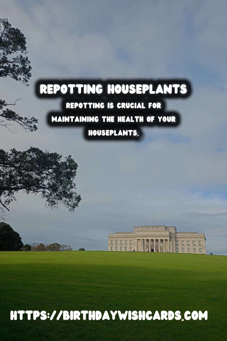 The Ultimate Guide to Repotting Houseplants: When and How