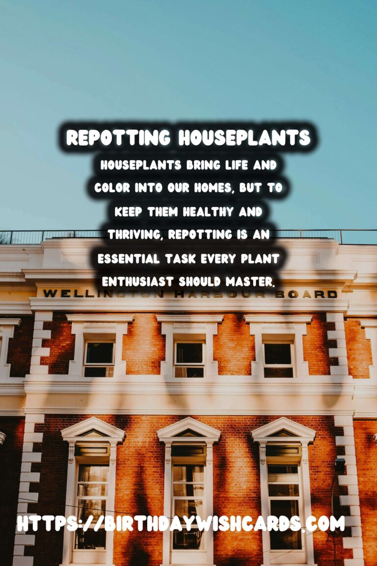 The Ultimate Guide to Repotting Houseplants: When and How