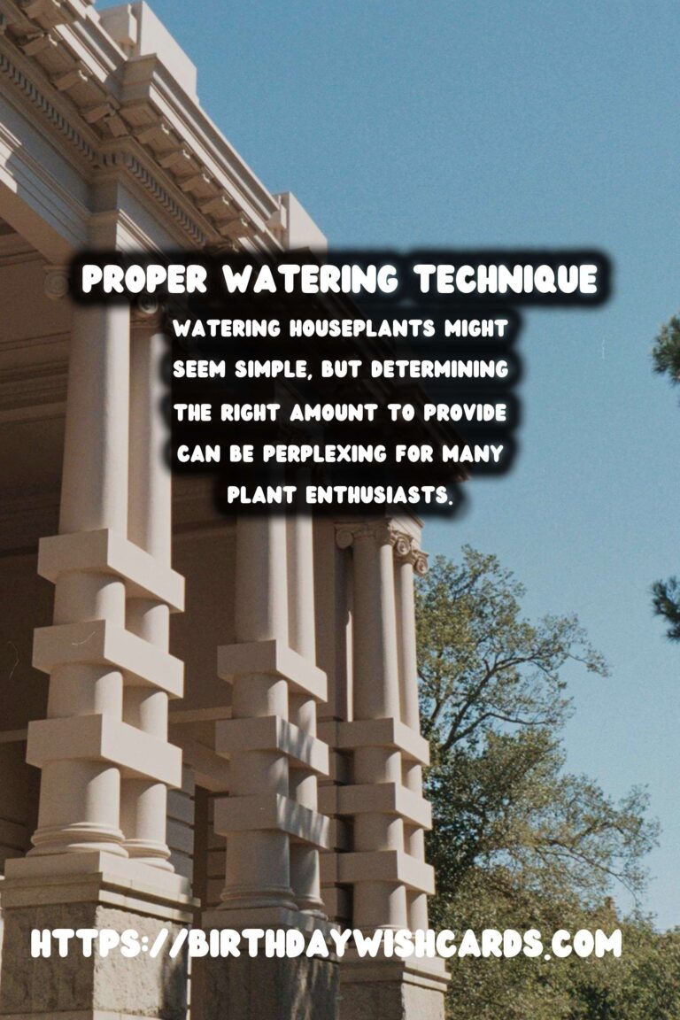 The Ultimate Guide to Watering Houseplants