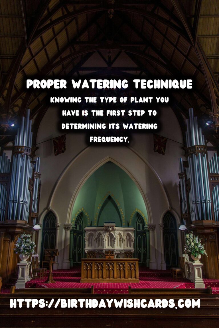 The Ultimate Guide to Watering Houseplants