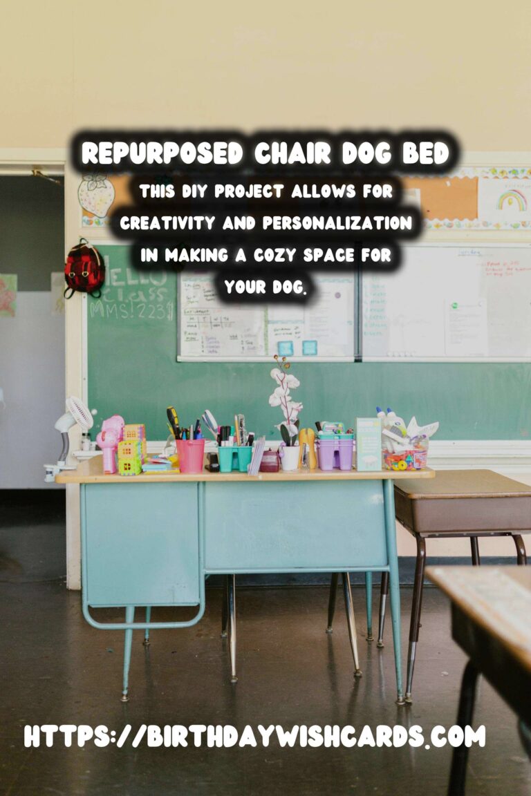 Transforming Old Chairs into Stylish Dog Beds