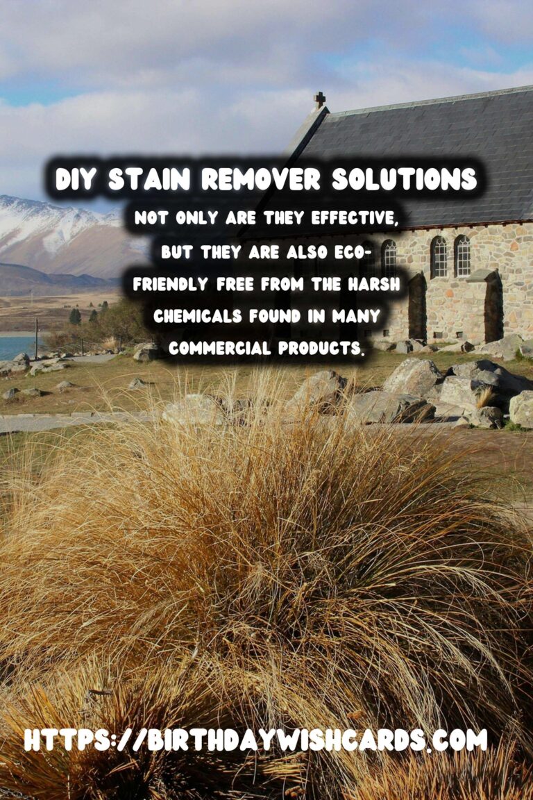 Ultimate Guide to Homemade Stain Remover for Clothes