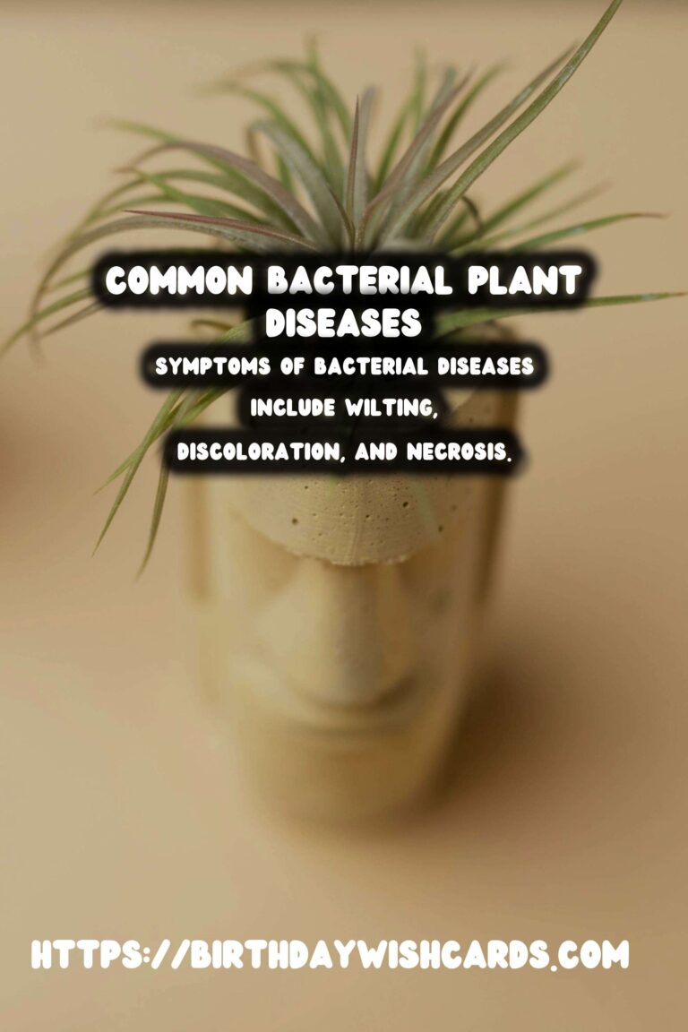 Understanding Plant Diseases: Common Bacterial Issues