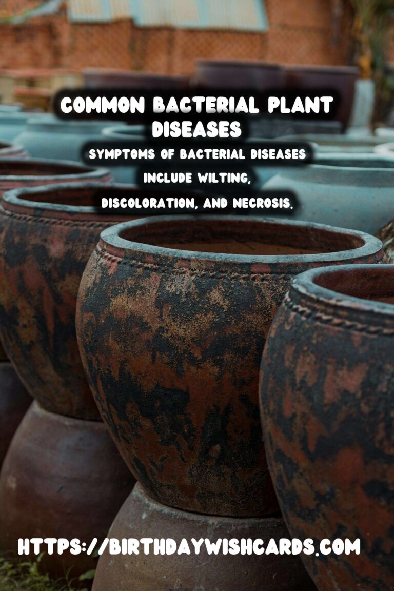 Understanding Plant Diseases: Common Bacterial Issues
