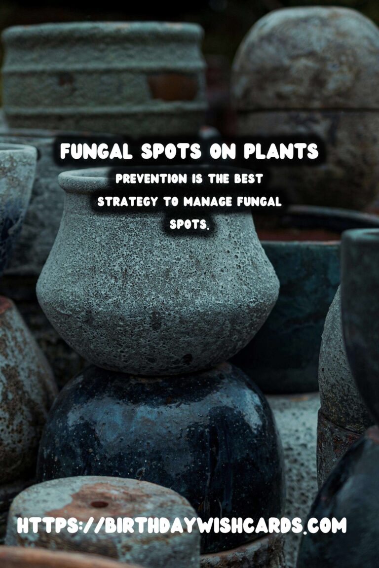 Understanding Plant Diseases: Effective Fungal Spots Treatment