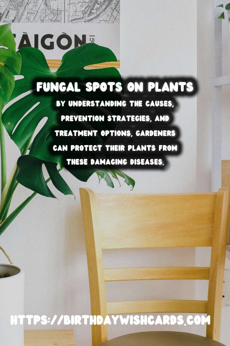 Understanding Plant Diseases: Effective Fungal Spots Treatment