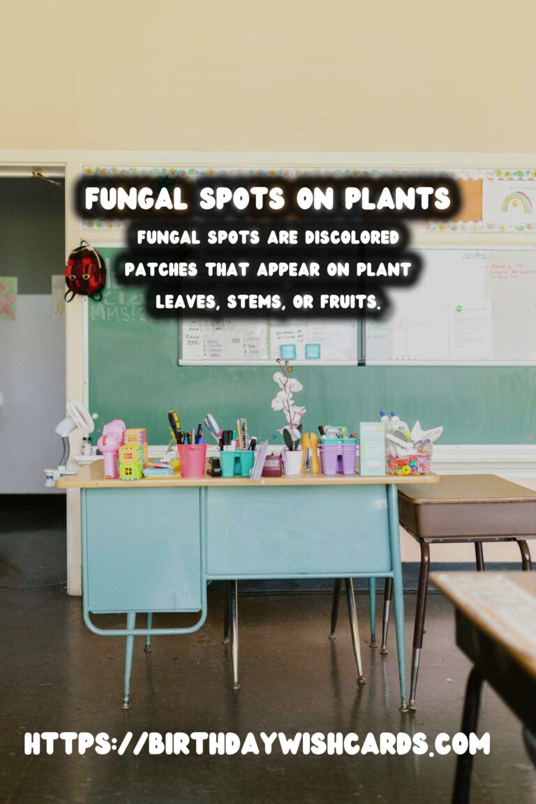 Understanding Plant Diseases: Effective Fungal Spots Treatment