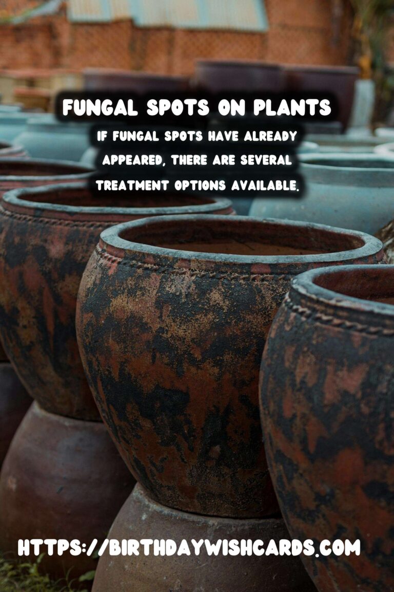 Understanding Plant Diseases: Effective Fungal Spots Treatment