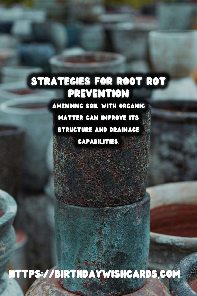 Understanding Plant Diseases: Effective Strategies for Root Rot Prevention