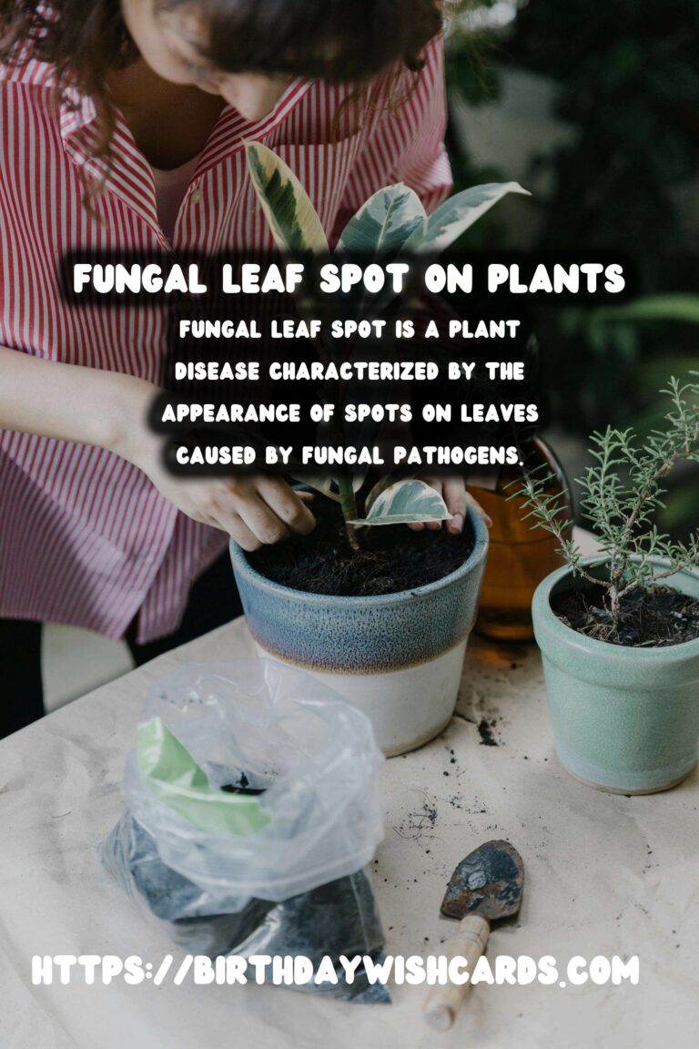 Understanding Plant Diseases: Fungal Leaf Spot