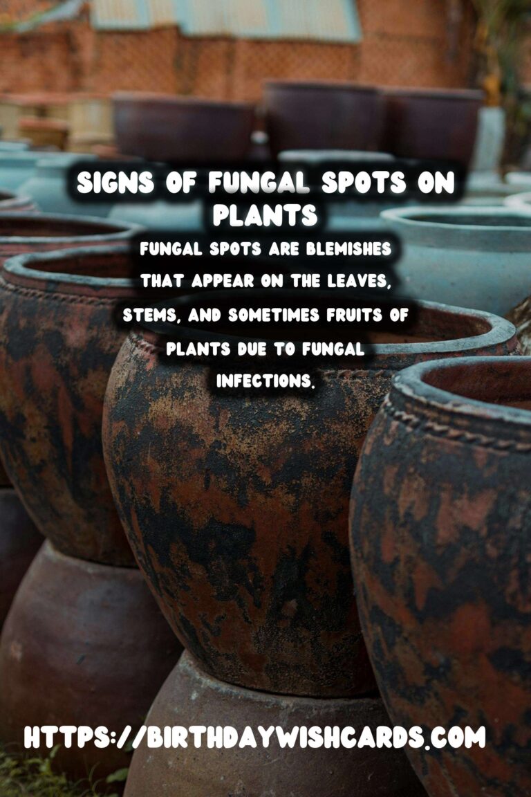 Understanding Plant Diseases: Fungal Spots