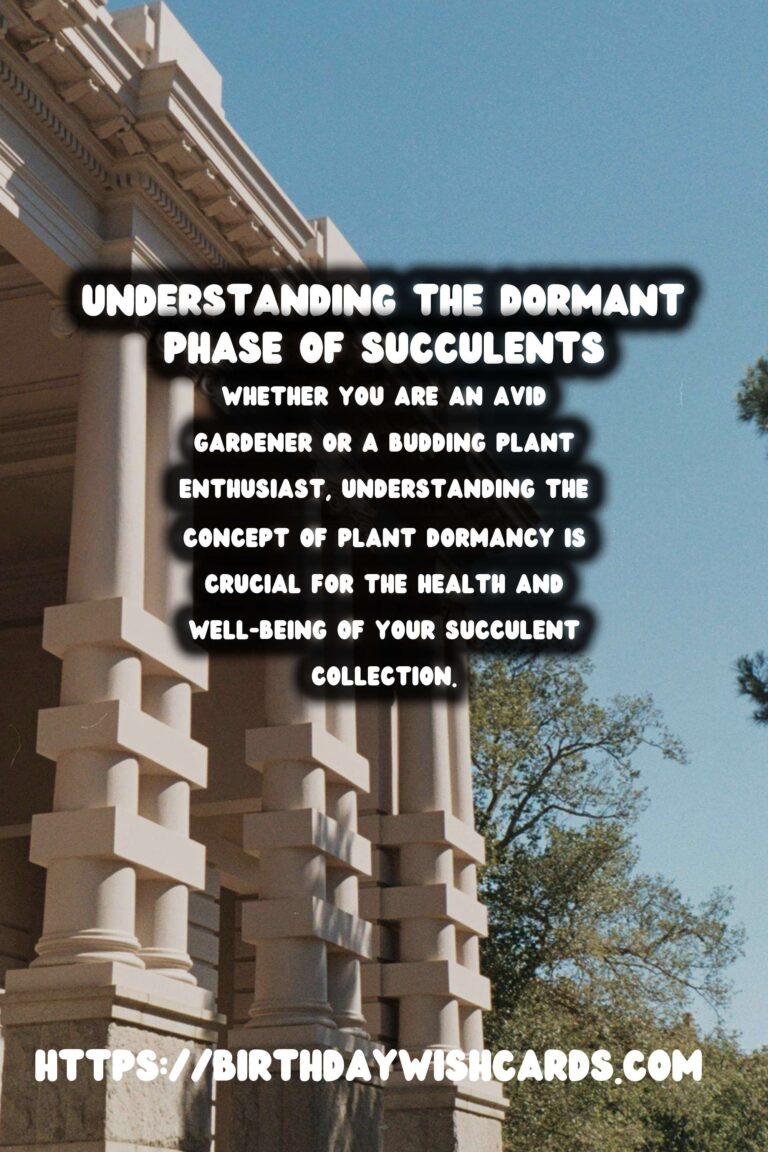 Understanding Plant Dormancy in Succulents