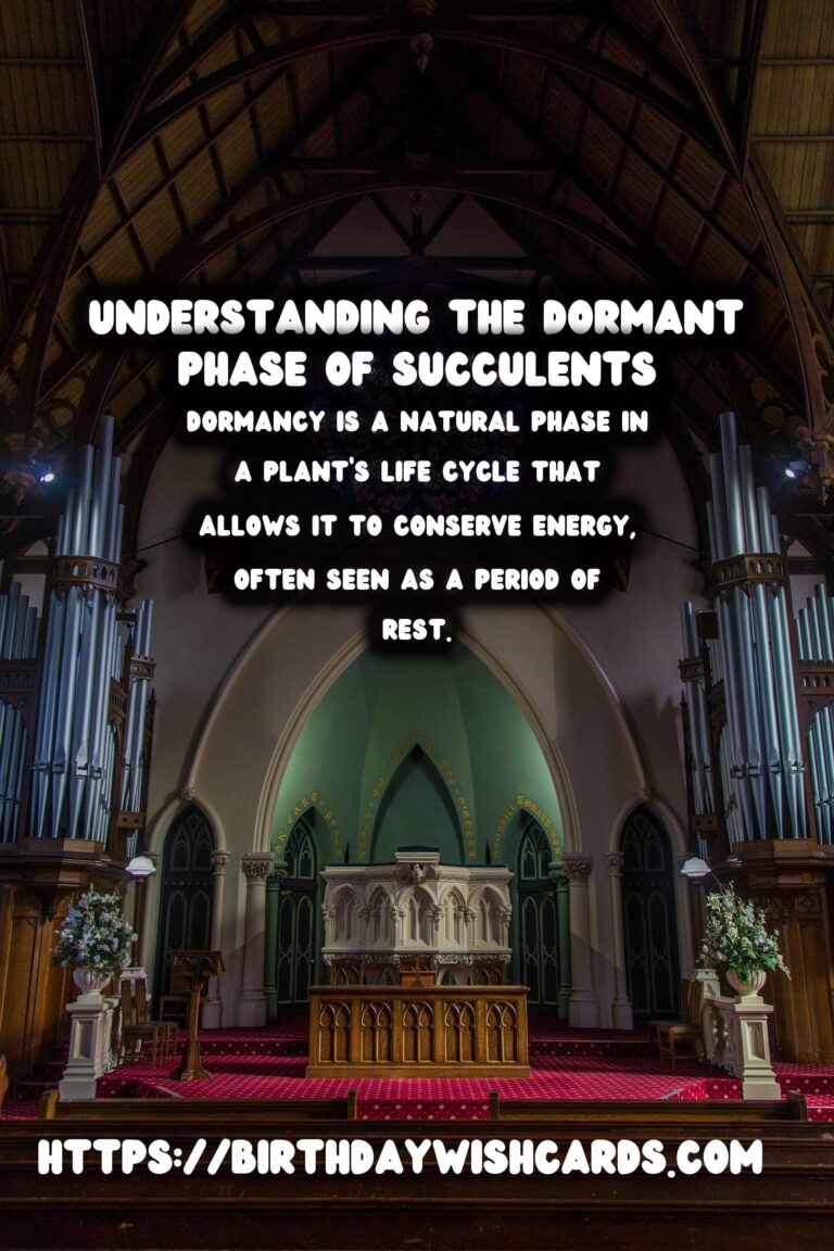 Understanding Plant Dormancy in Succulents