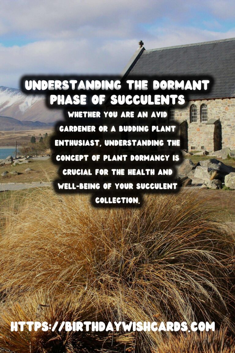 Understanding Plant Dormancy in Succulents
