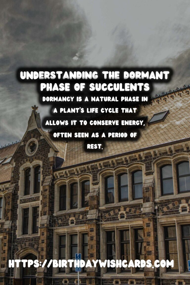 Understanding Plant Dormancy in Succulents