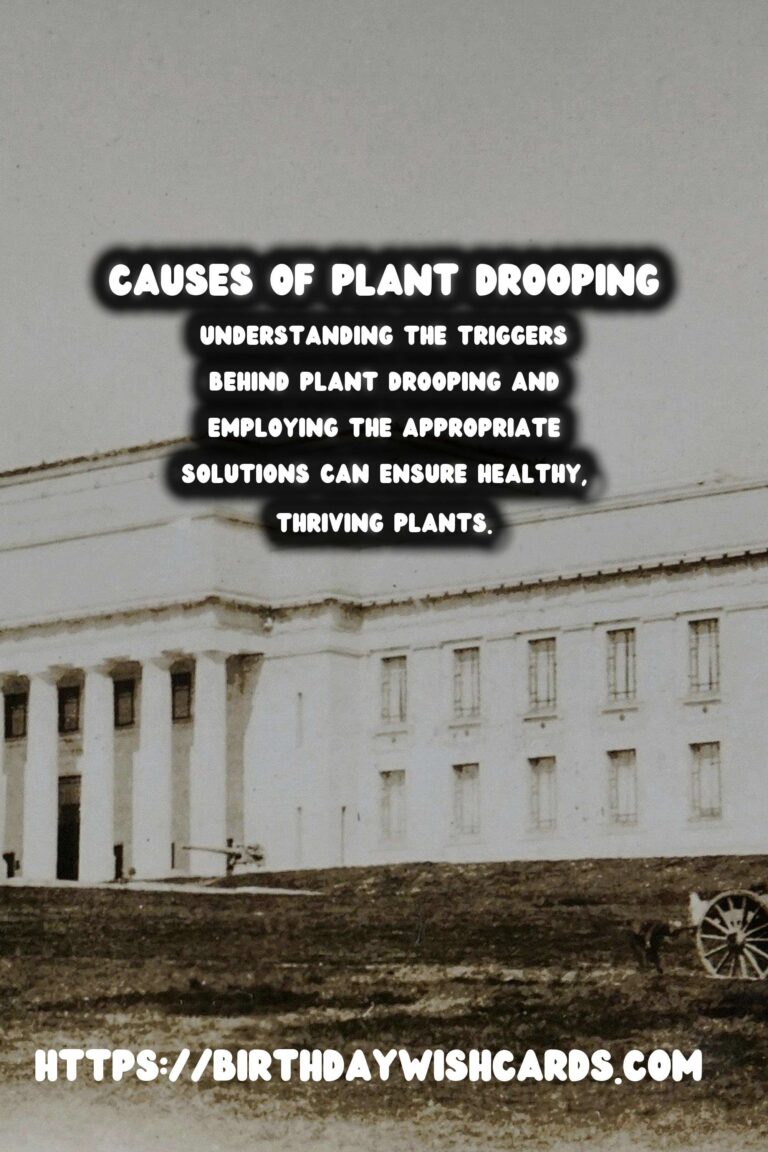 Understanding Plant Drooping: Causes and Solutions