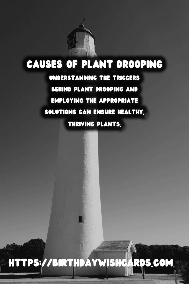 Understanding Plant Drooping: Causes and Solutions