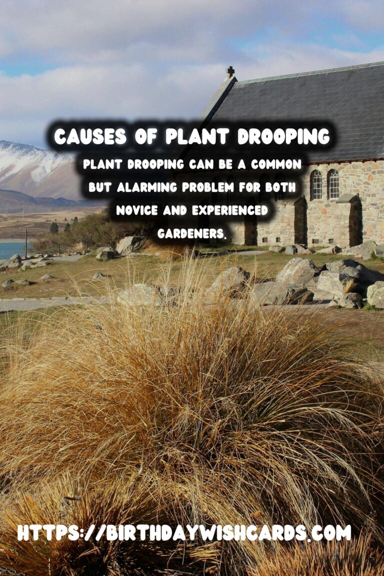 Understanding Plant Drooping: Causes and Solutions