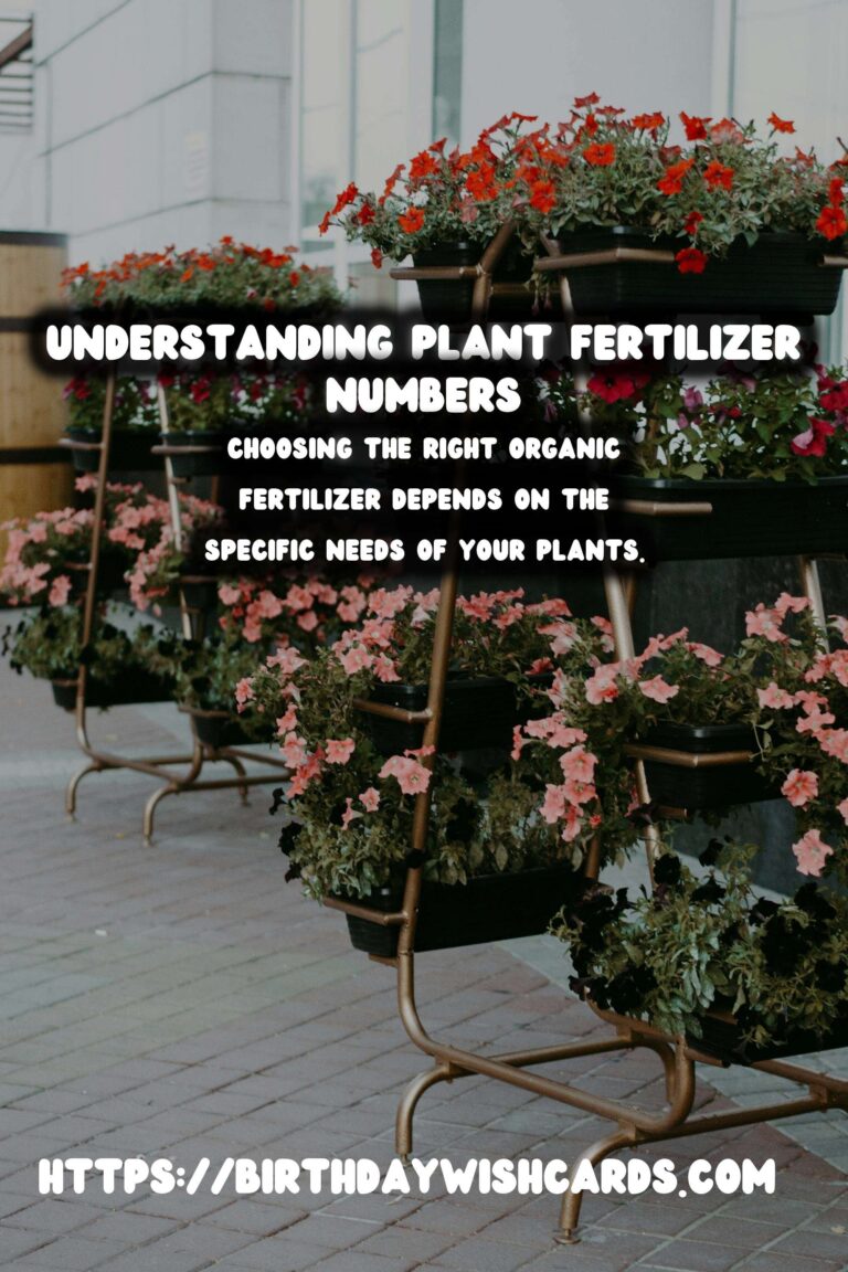 Understanding Plant Fertilizer Numbers: A Guide to Organic Options