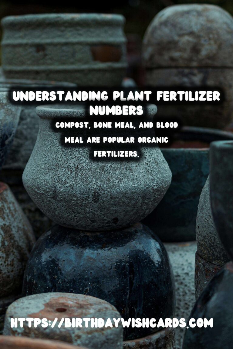 Understanding Plant Fertilizer Numbers: A Guide to Organic Options